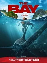 The Bay (2026) HDRip Telugu Dubbed